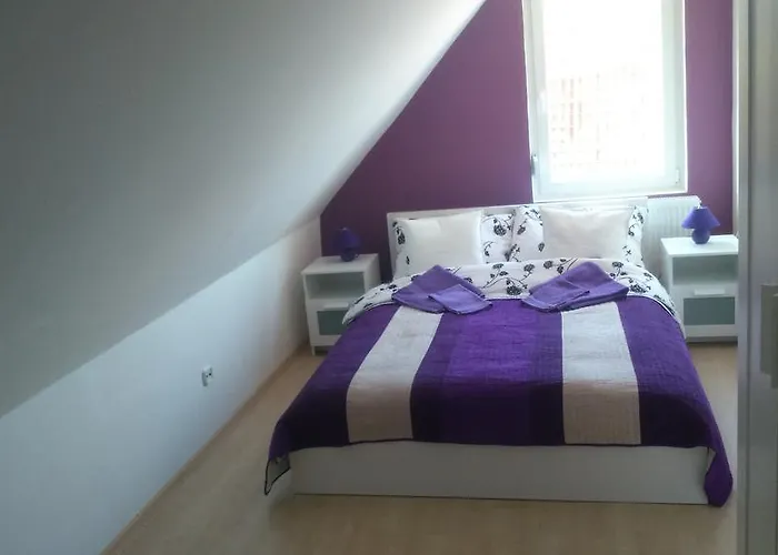 Solid Apartmans